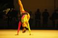 5e Nuit des Sports 5e nuit des sports Gymnastique Rythmique 245